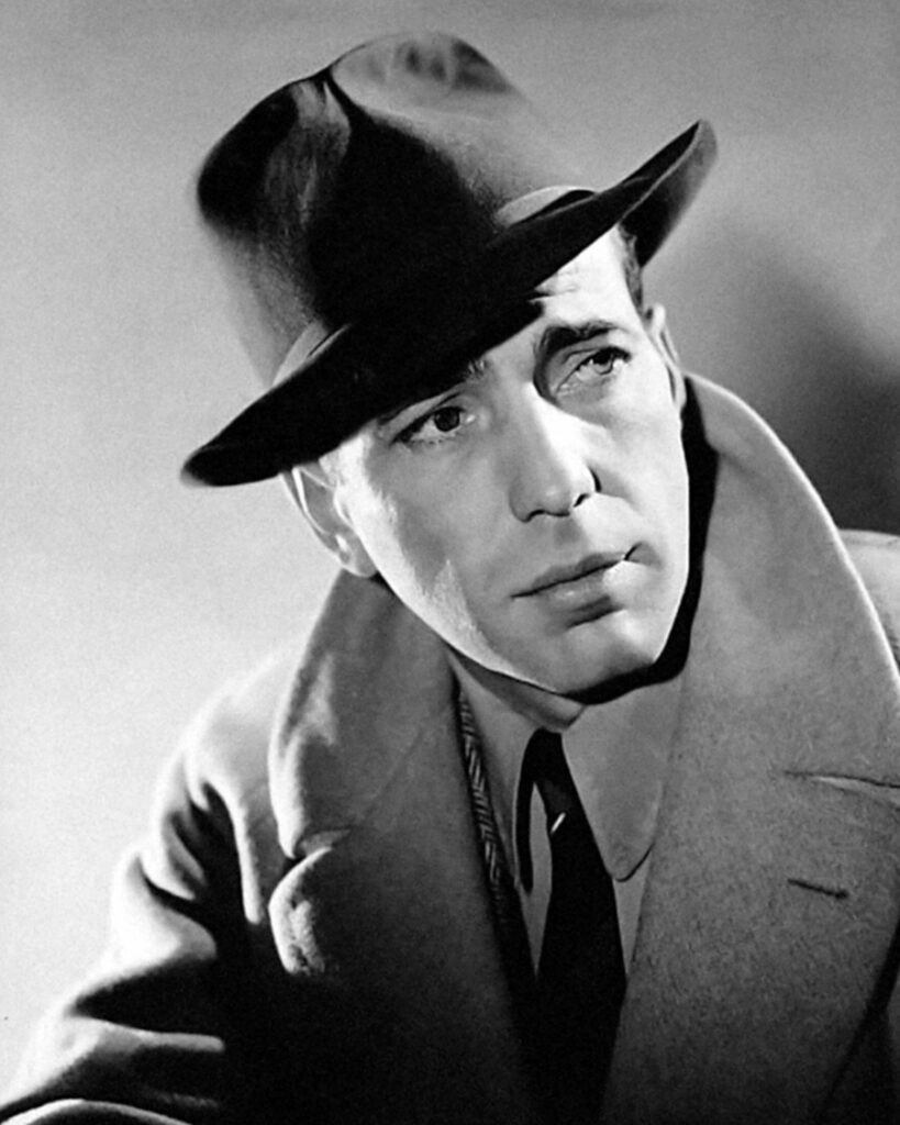 bogart: life comes in flashes, humphrey bogart, stephen bogart, universal pictures