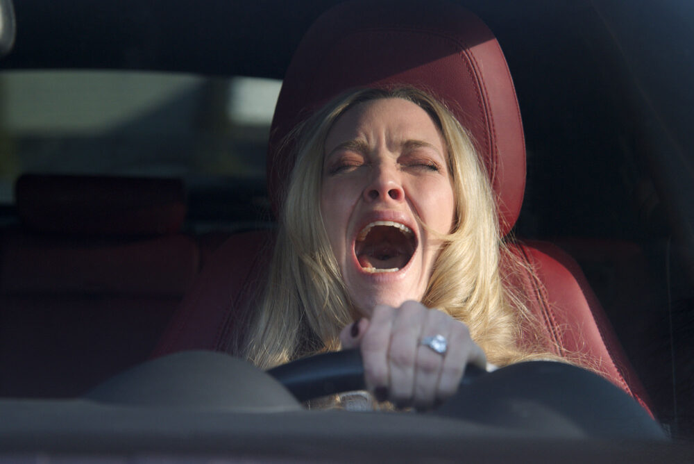 Sydney Sweeney, Amanda Seyfried, Brandon Sklenar, Paul Feig