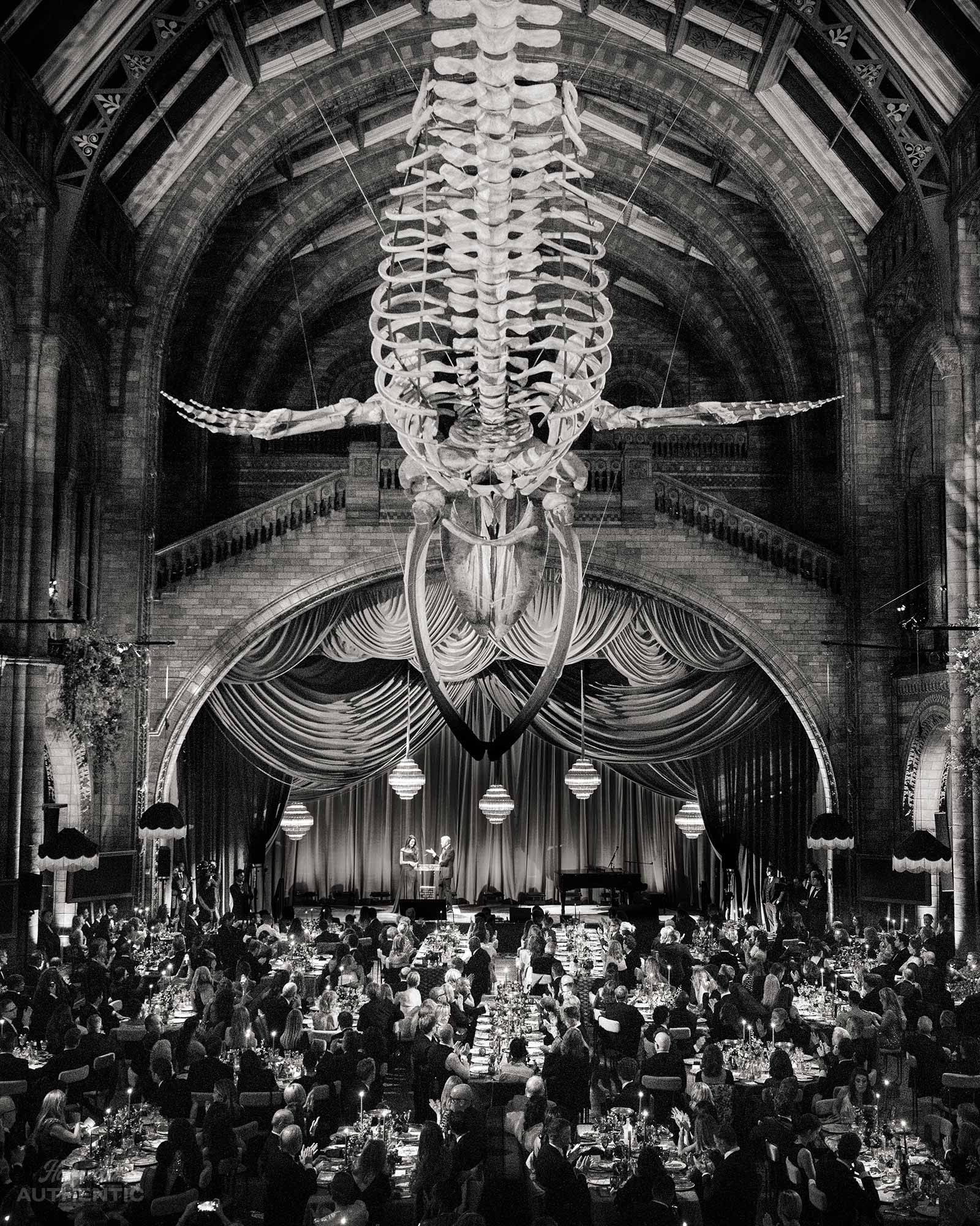 Amal Clooney, George Clooney, The Albies 2025