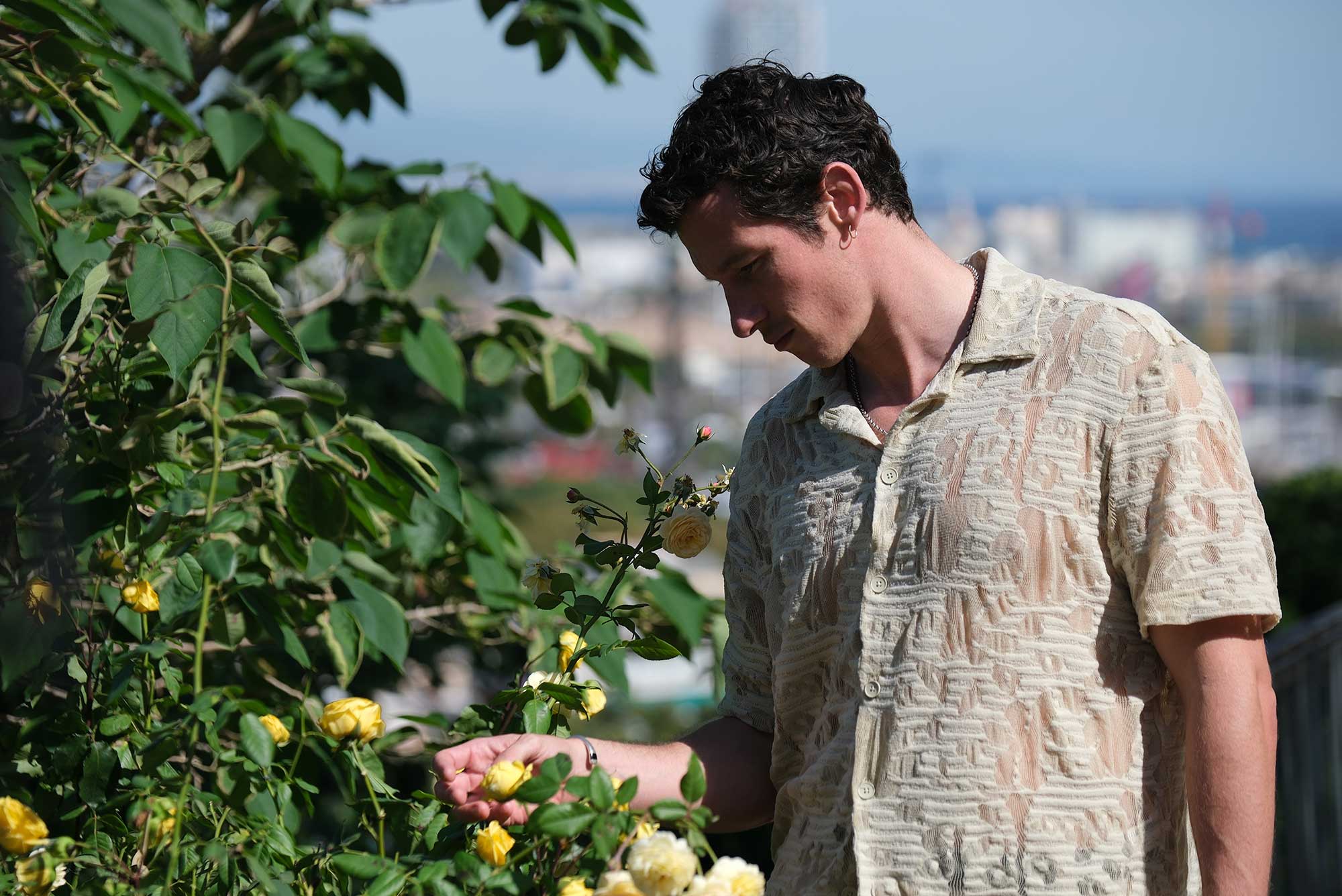 Callum Turner, Jamie Bell, Riley Keogh, Pamela Anderson, Tracy Letts