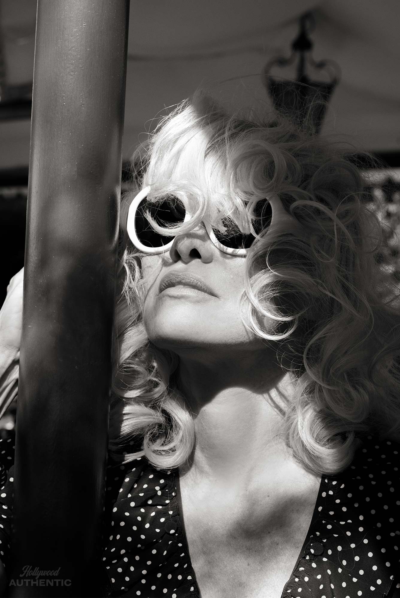 Taika Waititi, David Wenham, Pamela Anderson
